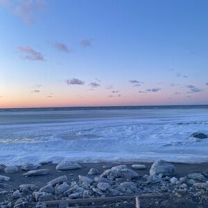 Meet your Posher, Brigitte